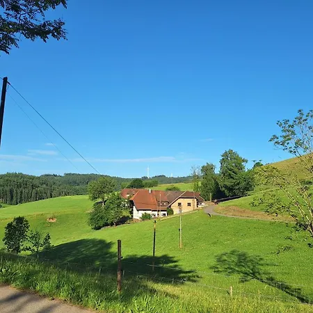 Landliebe Апартаменты Steinach (Baden-Wurttemberg)