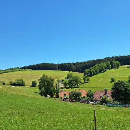 Landliebe Steinach (Baden-Wurttemberg)